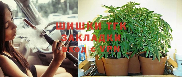 бутират Лагань