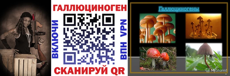 Галлюциногенные грибы мицелий Шацк